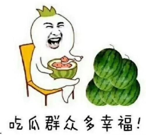 吃瓜娱乐酱文化,揭秘吃瓜娱乐酱文化的魅力与影响